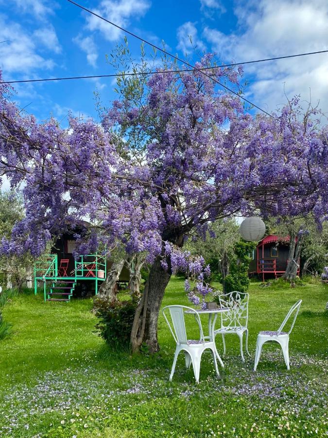 Azienda Agricola Della Mezzaluna Stiava Экстерьер фото