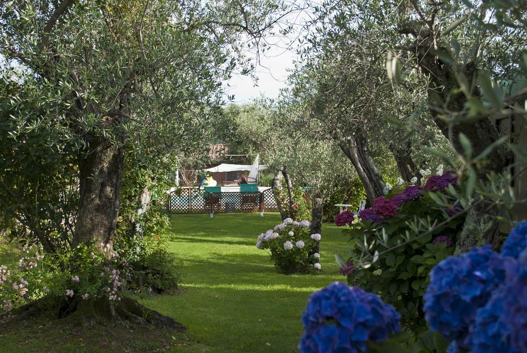 Azienda Agricola Della Mezzaluna Stiava Экстерьер фото